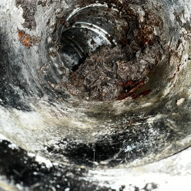 Dryer vent with bad smell from moldy lint