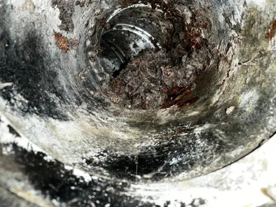 Dryer vent with bad smell from moldy lint