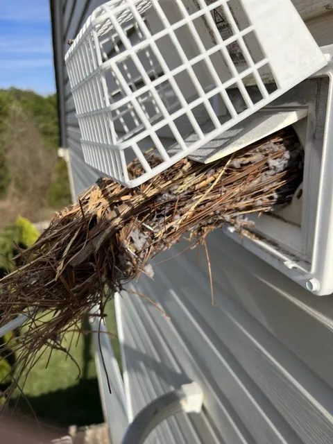 Bird nest left behind in dryer vent duct