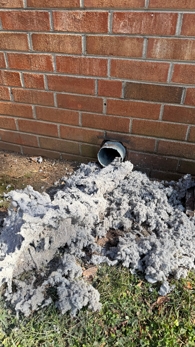 Dryer vent lint pile from Greensboro Green Valley cleaning