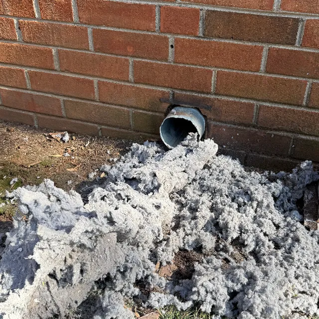 Dryer vent lint pile from Greensboro Green Valley cleaning