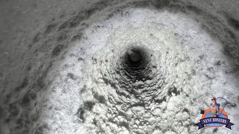 Dirty dryer vent inside