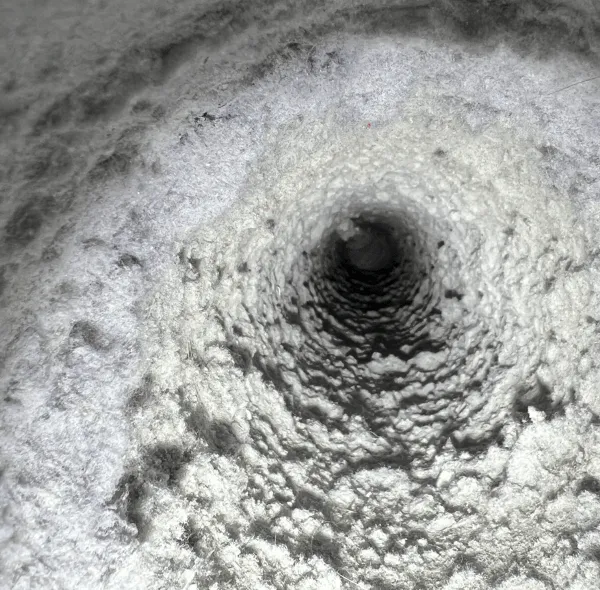 Dirty dryer vent inside