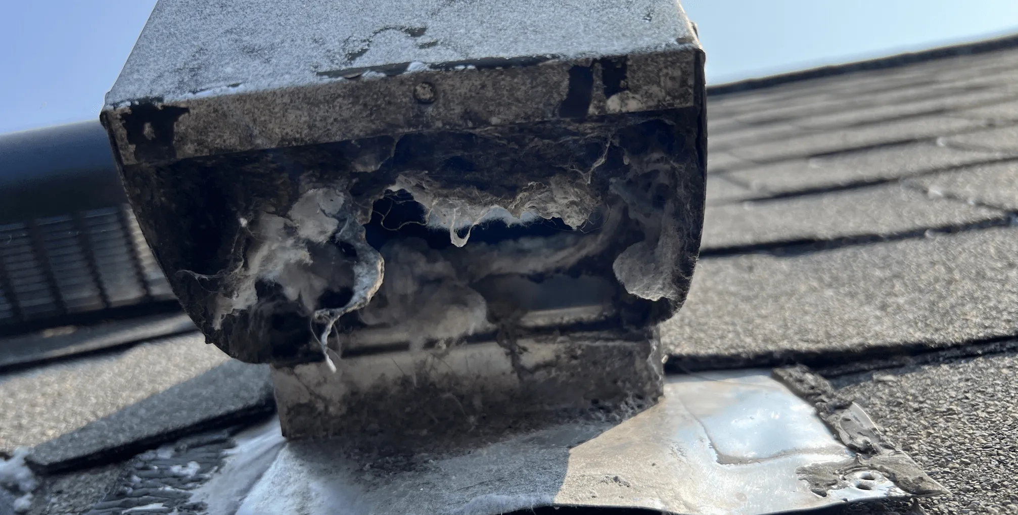 Dryer vent roof cover before and after cleaning