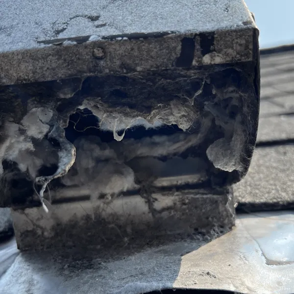 Dryer vent roof cover before and after cleaning