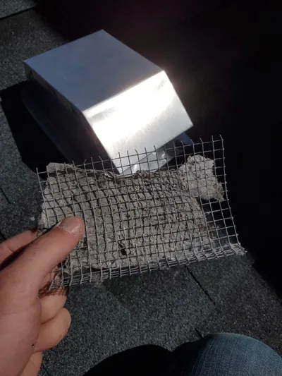 Clogged bird screen
