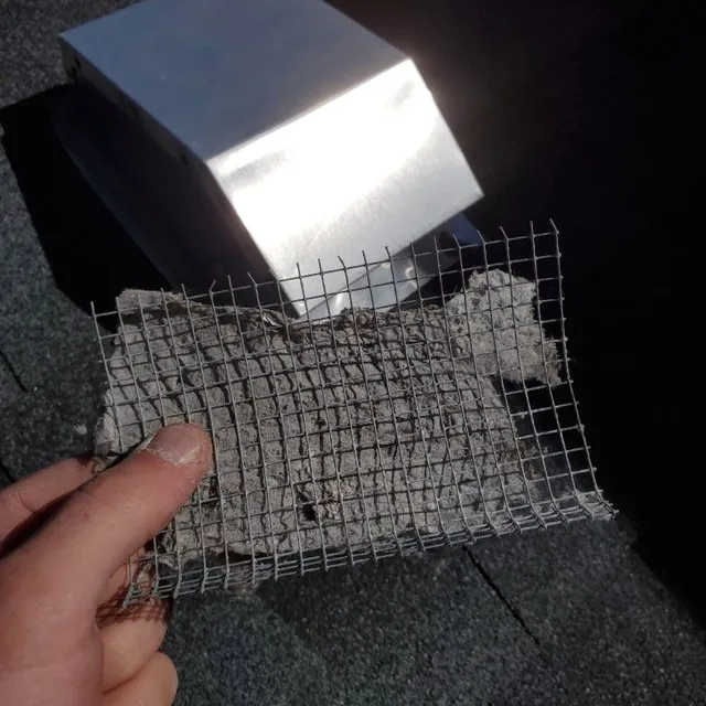 Clogged bird screen