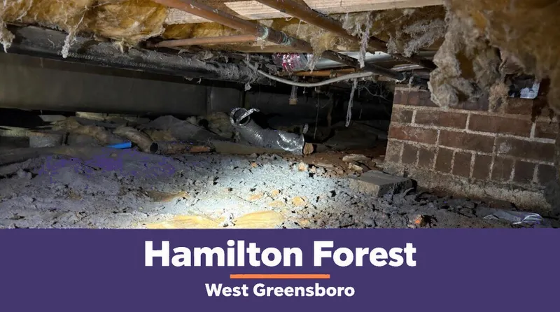 Hamilton Forest Greensboro – Dryer Vent Showcase