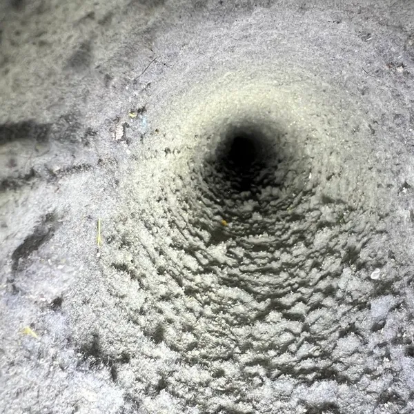 Dirty dryer vent before cleaning Whisper Creek