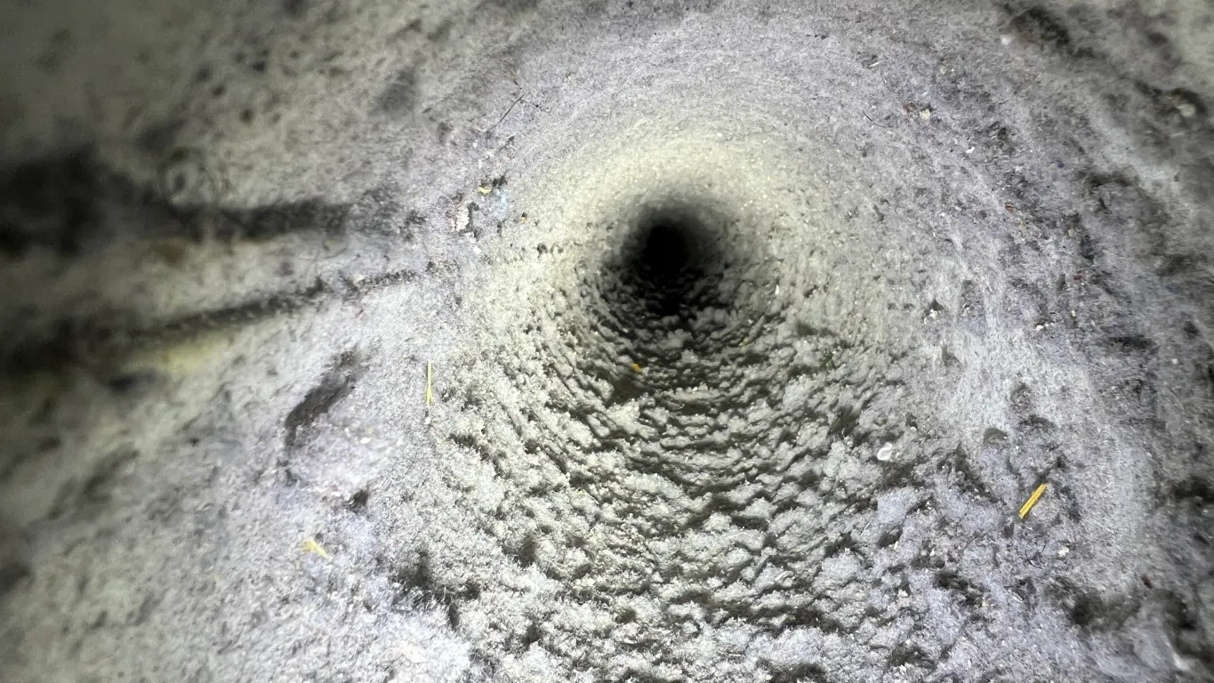 Dirty dryer vent before cleaning Whisper Creek