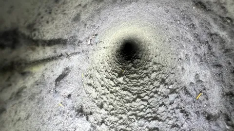 Dirty dryer vent before cleaning Whisper Creek