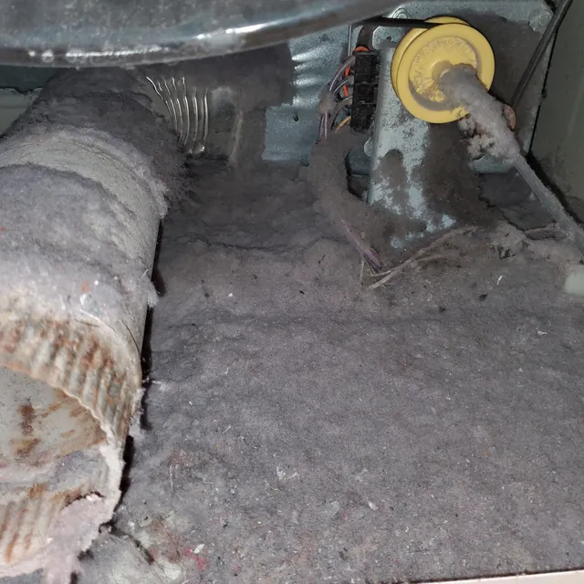 Heavy lint accumulation inside a clothes dryer cabinet