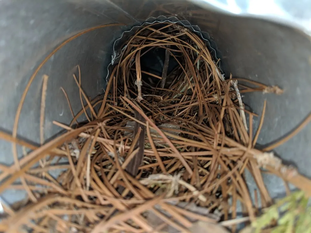 Inside dryer vent showing bird nest blockage