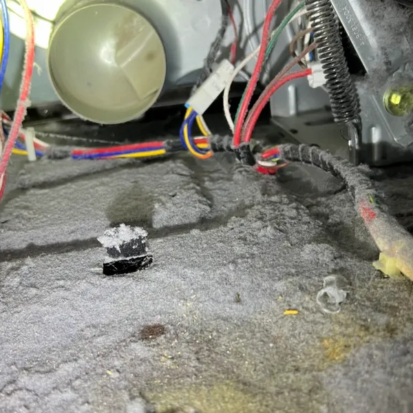 Inside dryer blower housing Whisper Creek