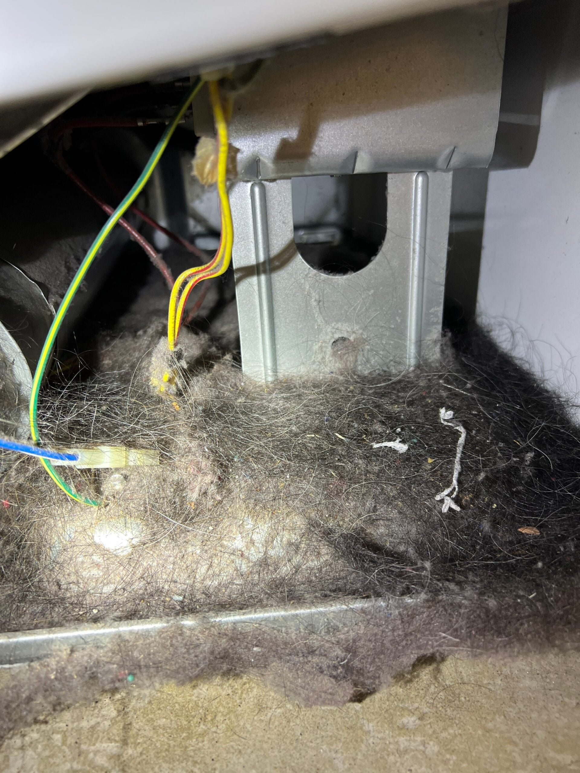 Inside dryer lint trap and blower housing