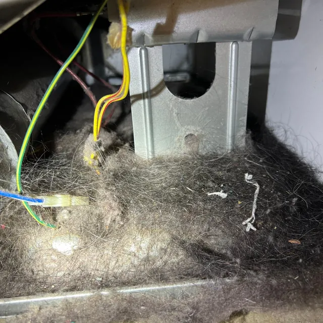 Inside dryer lint trap and blower housing