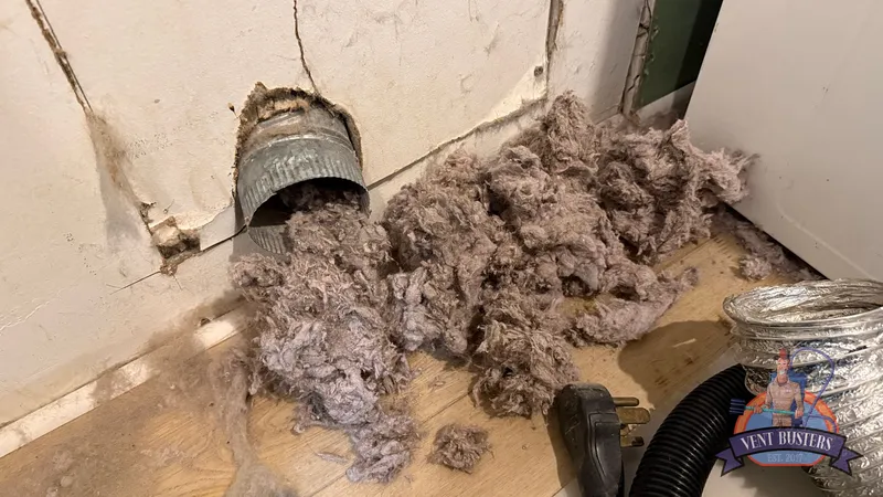 Dog hair can turn into a clog in your dryer vent (Jamestown)