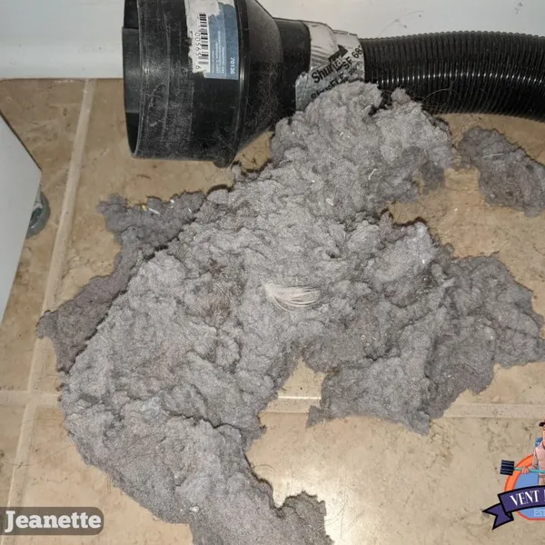 Lint buildup in attic Lake Jeanette