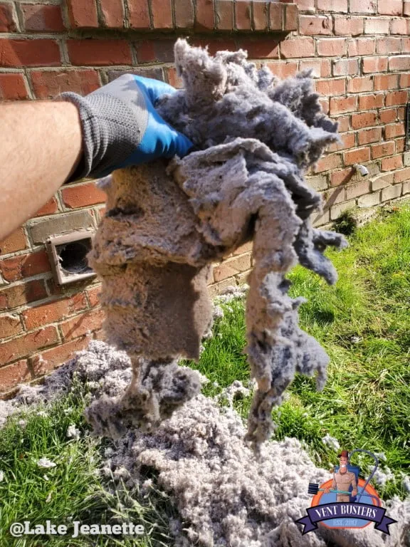 Professional dryer vent cleaning Lake Jeanette