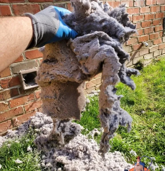 Professional dryer vent cleaning Lake Jeanette