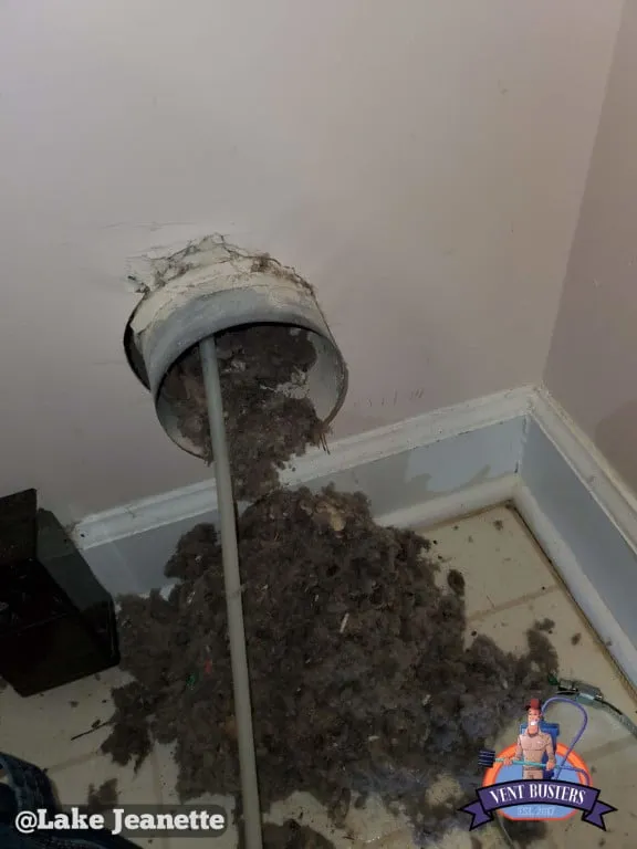 Dryer vent cleaning Lake Jeanette