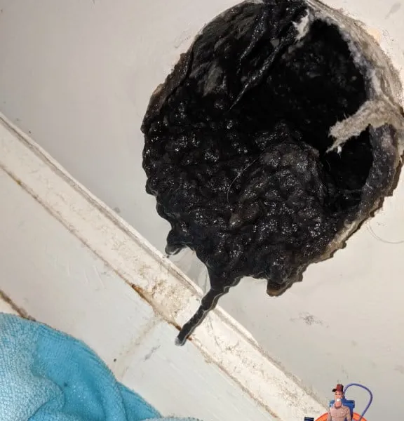 Dryer vent service Lake Jeanette