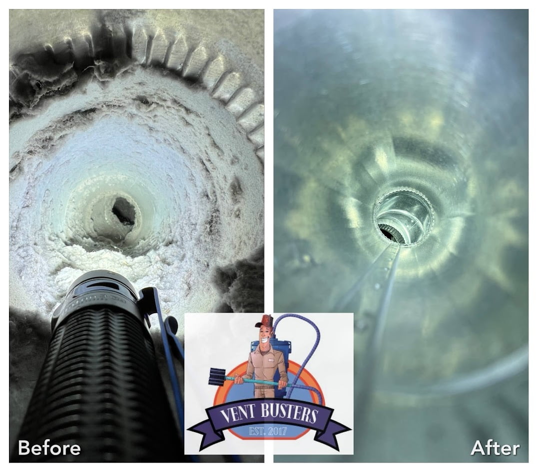 Leaf blower vs professional cleaning