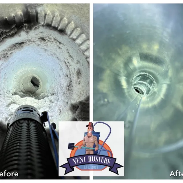Leaf blower vs professional cleaning