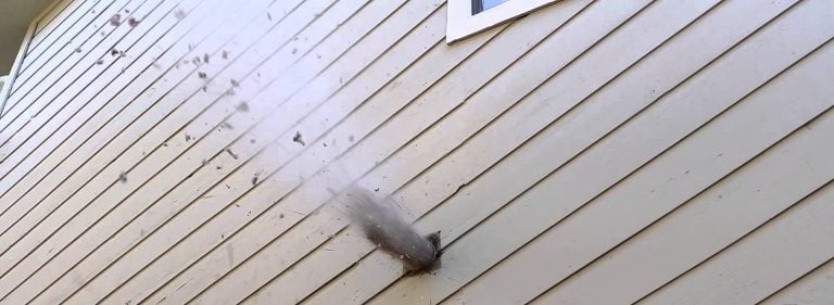 Lint blowing out of dryer vent from leaf blower – why not to use this method