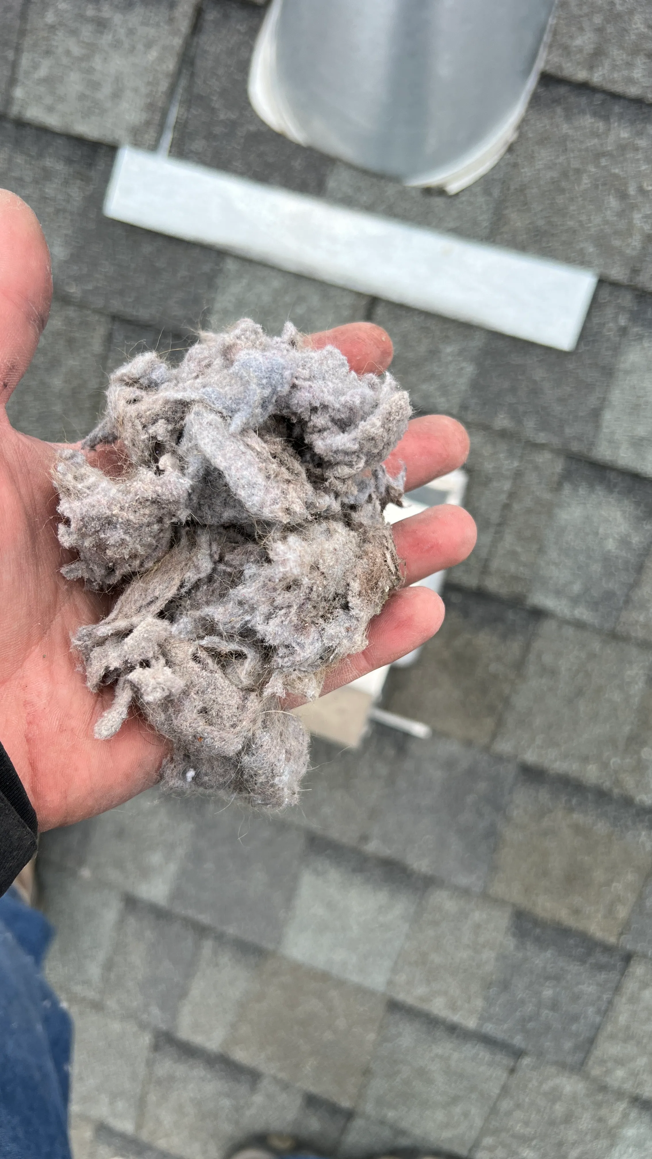 Lint buildup from roof vent cover Stone Mill Village