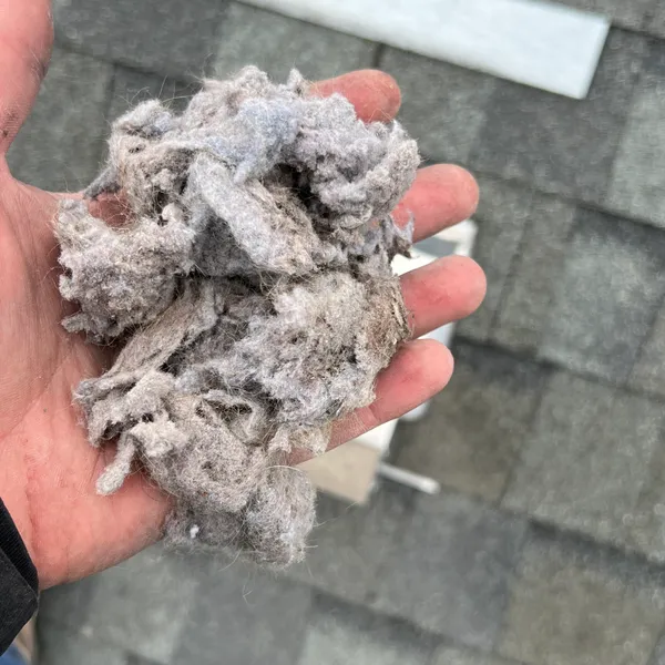Lint buildup from roof vent cover Stone Mill Village