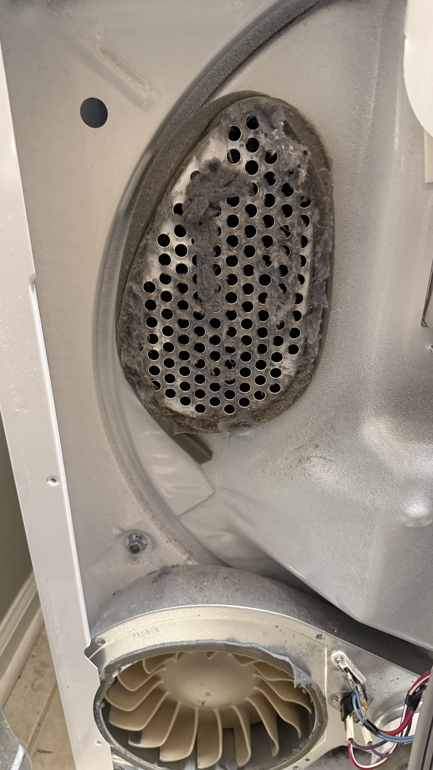 Dryer blower intake screen heavily coated with lint and residue