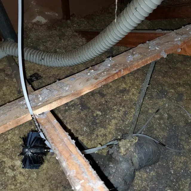 Lint eater brush stuck in attic