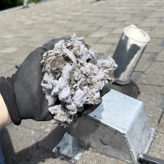 Lint pulled from a roof dryer vent cover in Waterbury Whitsett