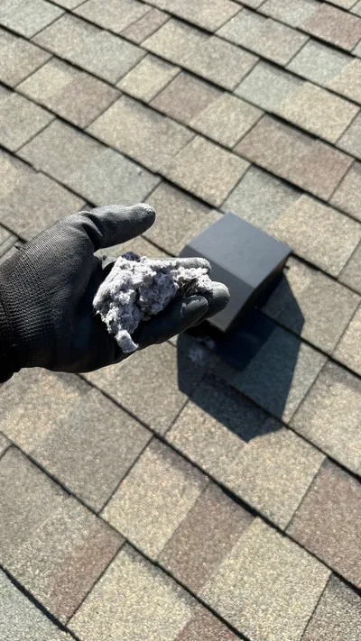 Lint pulled from a roof dryer vent cover in west Greensboro