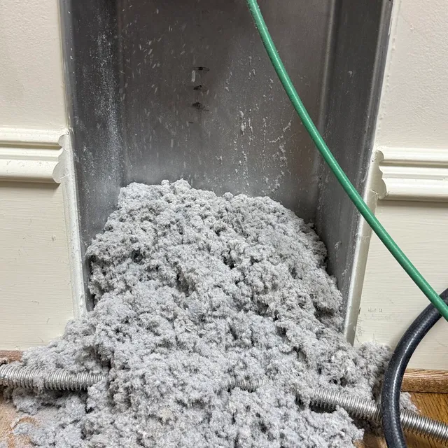 Lint pile pulled from a gas dryer vent in Old Irving Park Greensboro