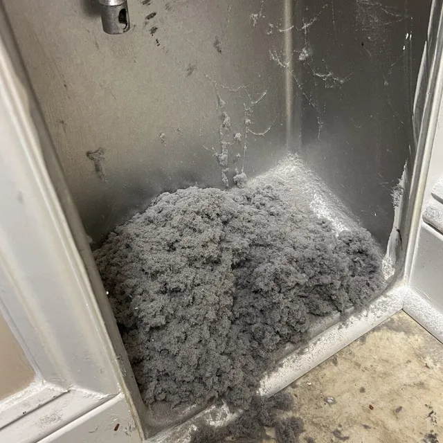 Pile of lint cleaned out of a dryer vent from inside a Mackintosh on the Lake laundry room
