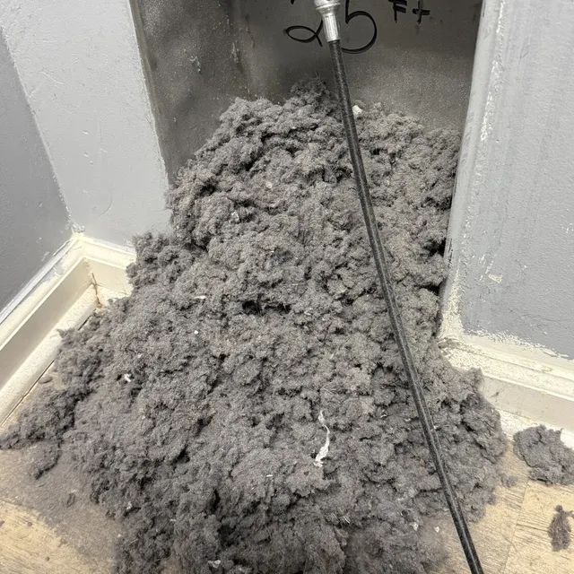 Pile of lint cleaned from a Waterbury dryer vent, laundry room to roof