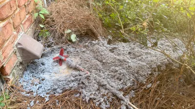 Lint pile and vent brush on pine straw under a Northern Shores dryer vent cover