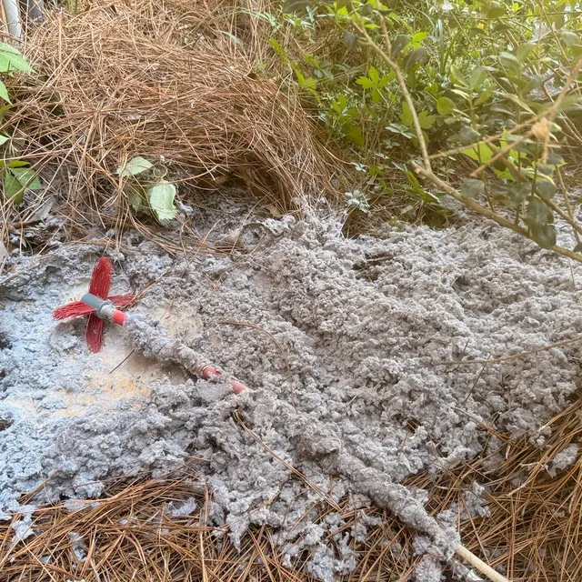 Lint pile and vent brush on pine straw under a Northern Shores dryer vent cover