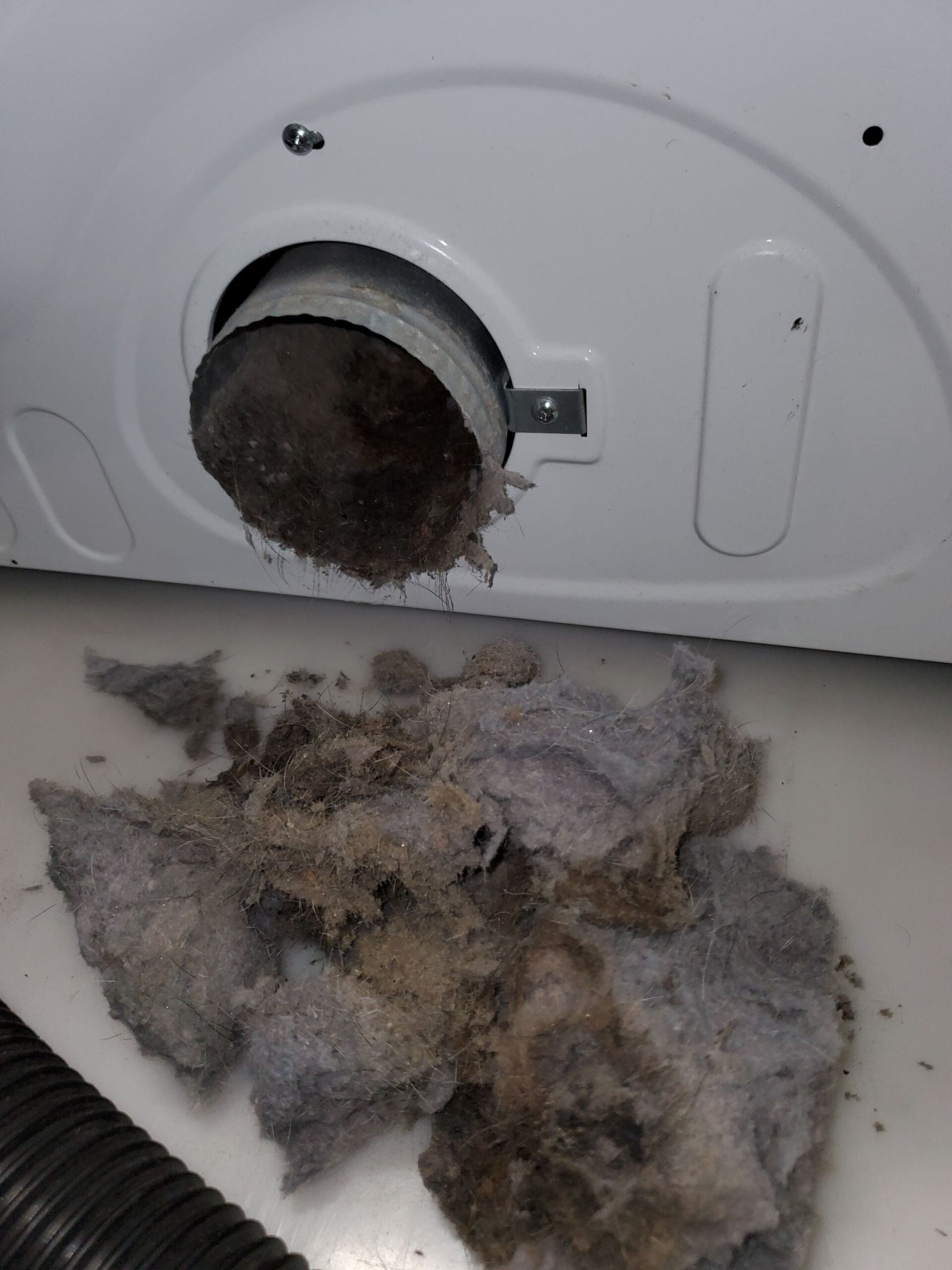 Moldy lint buildup in clothes dryer