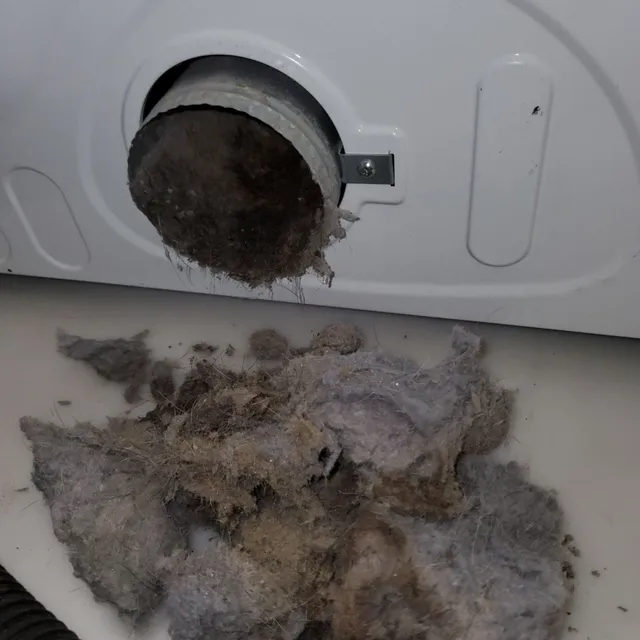 Moldy lint buildup in clothes dryer