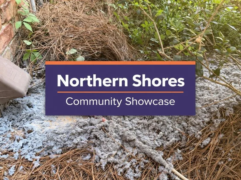 Northern Shores