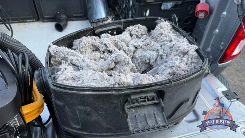 We cleaned out 5 gallons of lint in Northern Shores the other day (Northern Shores)