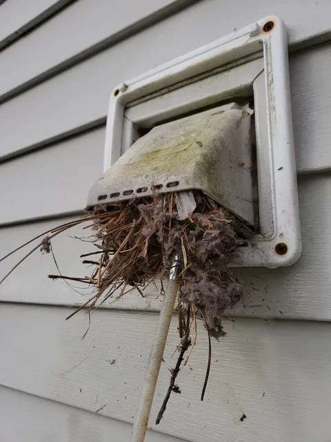 Bathroom vent cover Oak Ridge