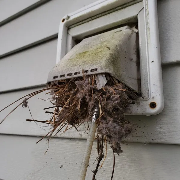 Bathroom vent cover Oak Ridge