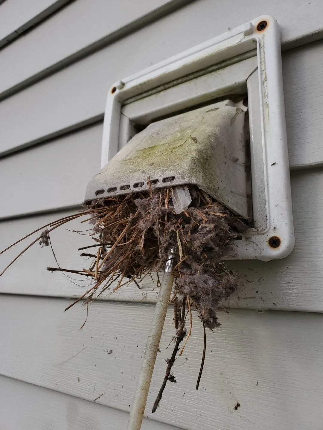 Bathroom vent cover Oak Ridge