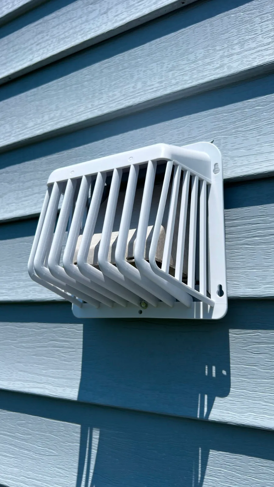 Bird nest removal Oak Ridge