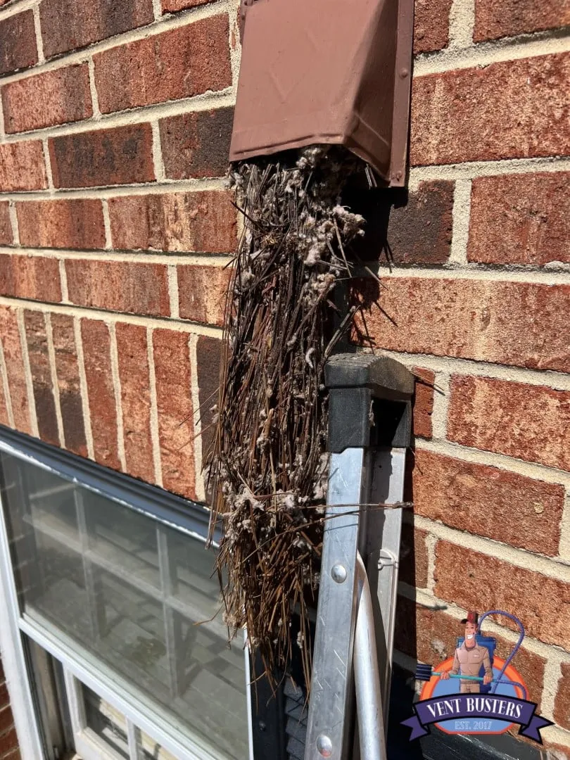 Dryer vent inspection Oak Ridge