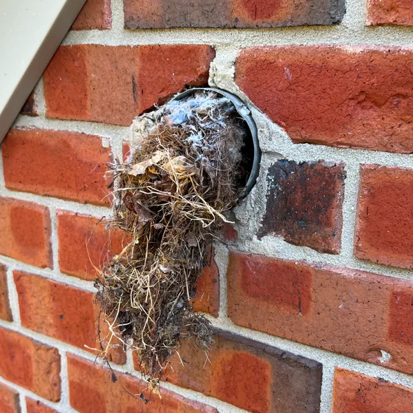 Dryer vent on roof Oak Ridge